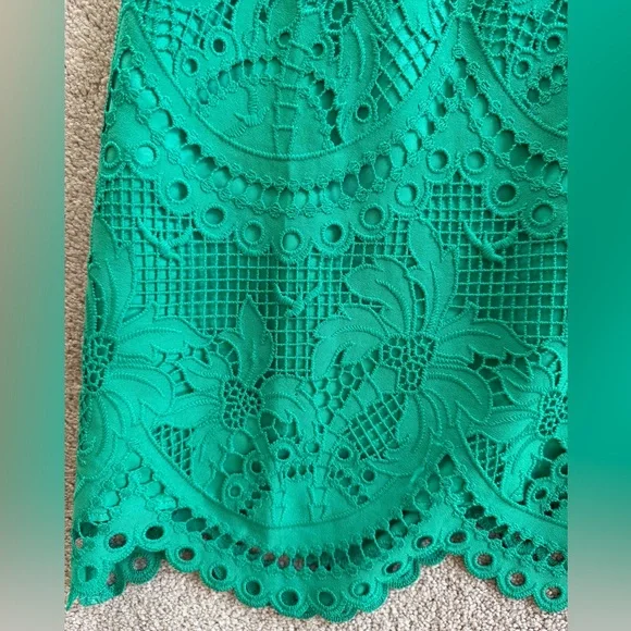 Lilly Pulitzer Brazilian Green Risette Lace Dress - Picture 5 of 15